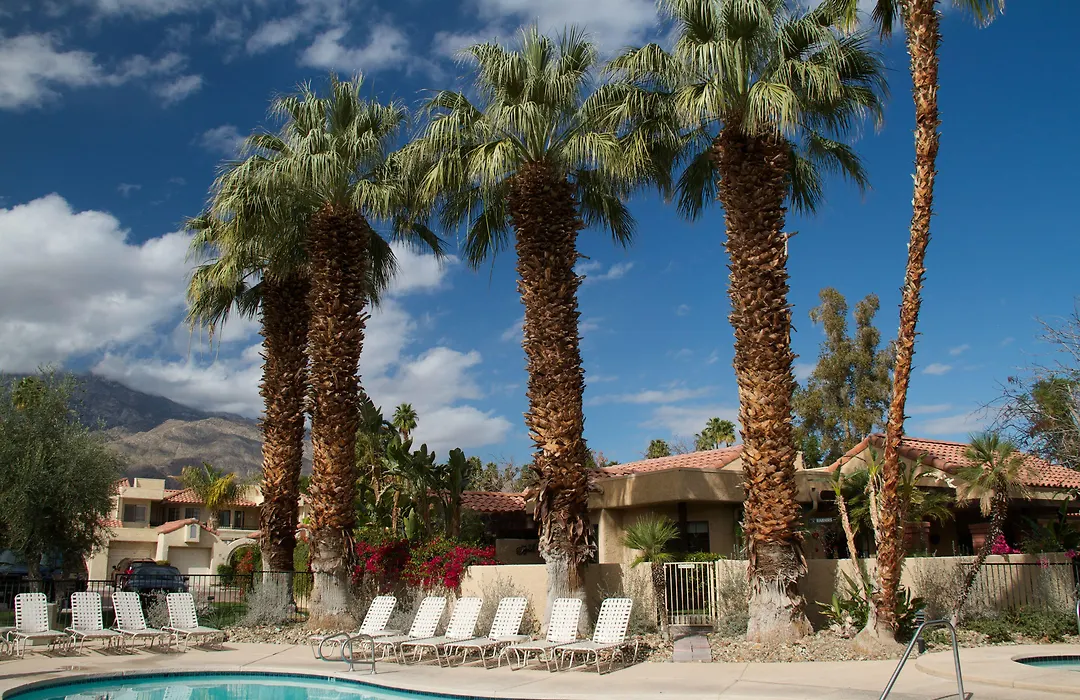The Oasis Resort-1